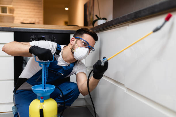 Best Wasp Removal Services  in Marshall, VA