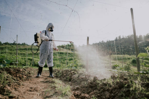 Best Commercial Pest Control Services  in Marshall, VA
