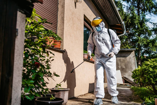 Best Bed Bug Extermination  in Marshall, VA