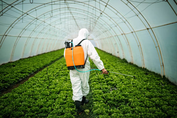 Best Pest Removal Services  in Marshall, VA