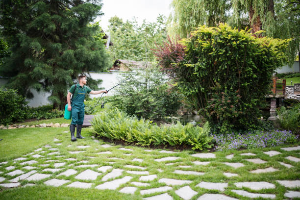 Best Ant Control Services  in Marshall, VA