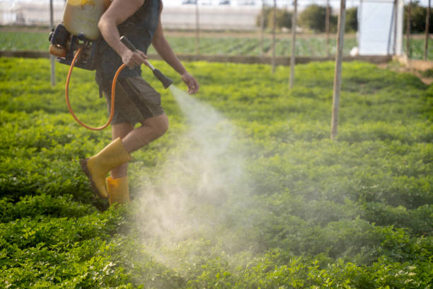 Best Best Pest Control Companies  in Marshall, VA