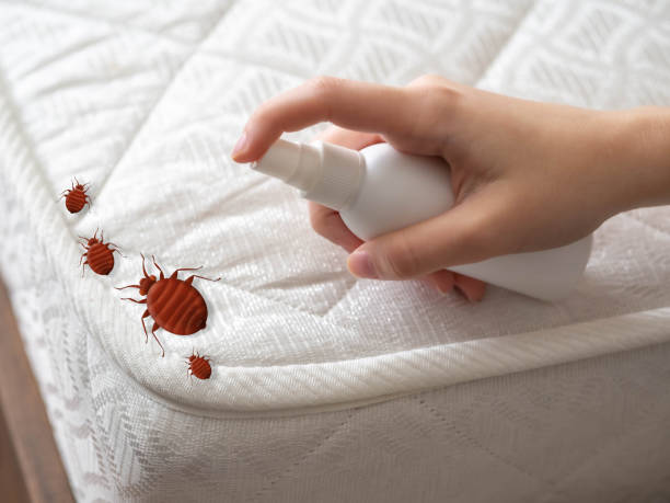 Best Mosquito Control Services  in Marshall, VA