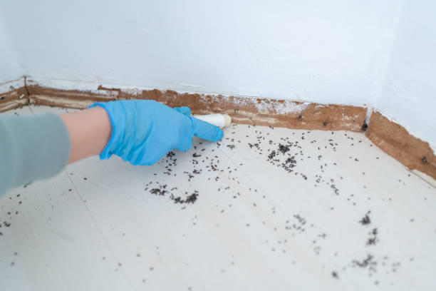 Wildlife Control Services in Marshall, VA