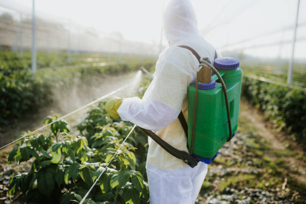 Best Cockroach Control Services  in Marshall, VA